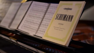 P1001597 e1692194818544